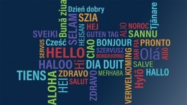 Hello / Hi